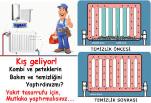 Gölcük Petek Temizleme